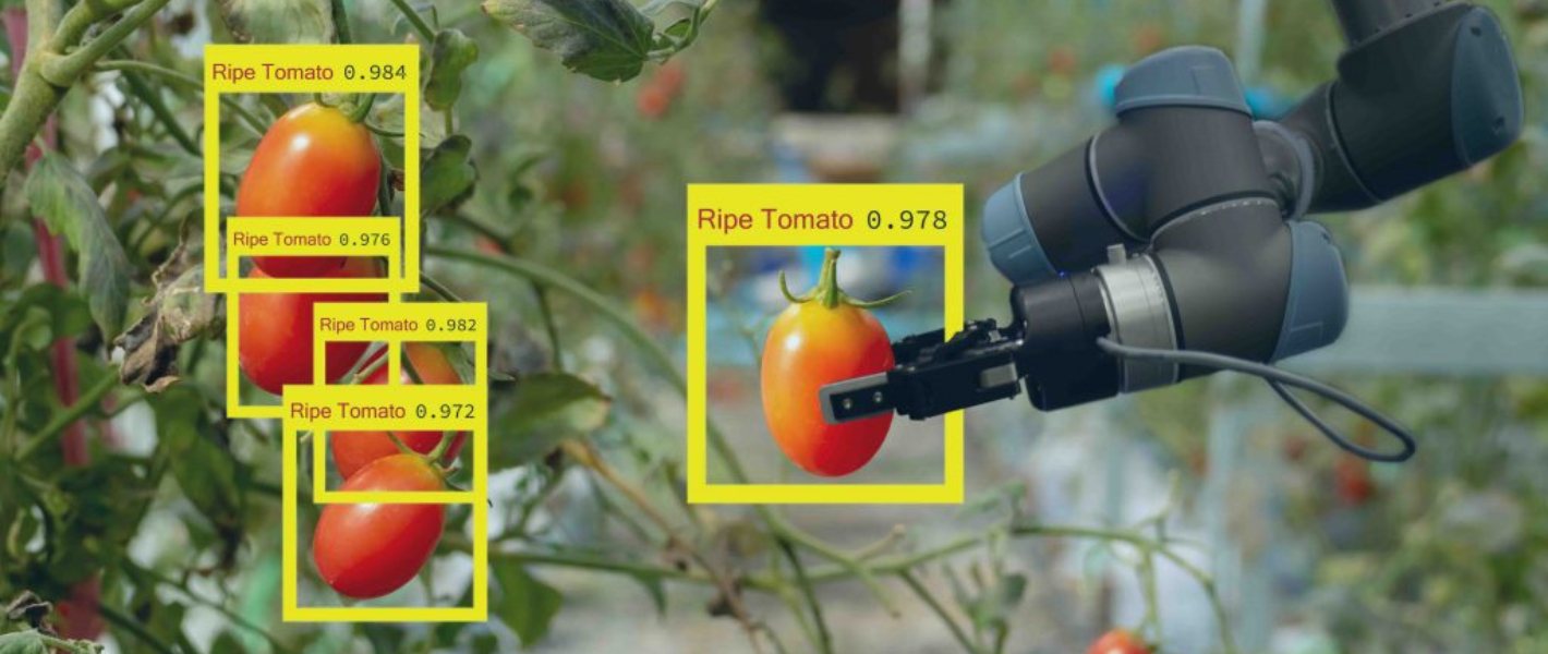 Fruit Picking Robotics